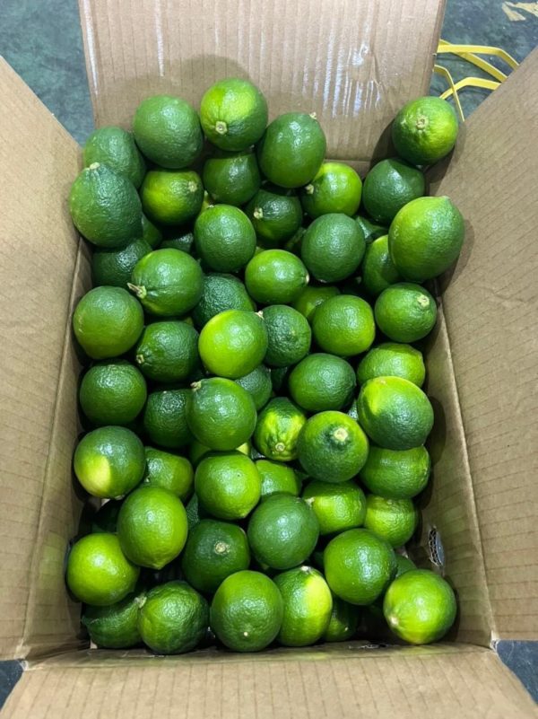 Seedless lime